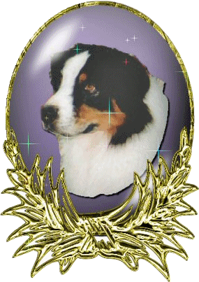 Dog in Globe